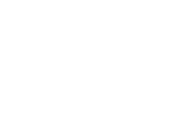 biletescu logo